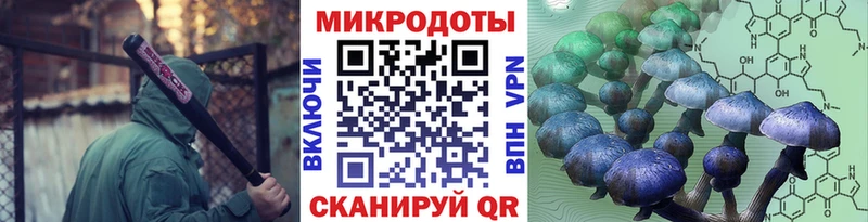 Галлюциногенные грибы MAGIC MUSHROOMS  купить наркотики цена  ссылка на мегу ССЫЛКА  Новосиль 
