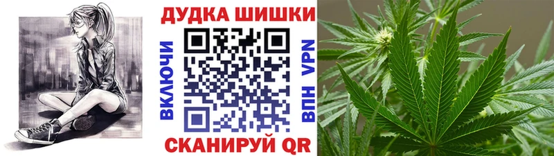 где купить наркоту Новосиль Бошки Шишки ГИДРОПОН